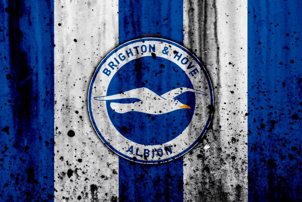 Brighton and hove albion badge
